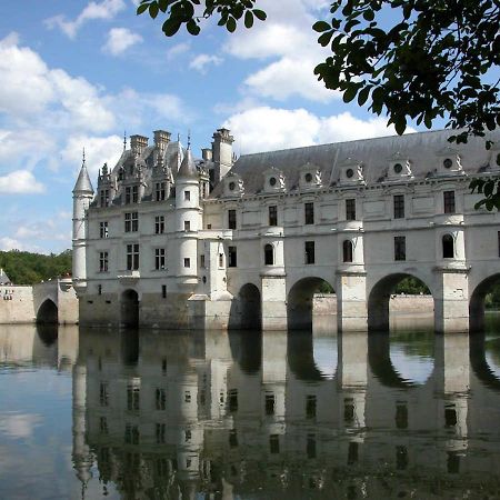Le Petit Husseau Villa Монлюис-сюр-Лоар Екстериор снимка